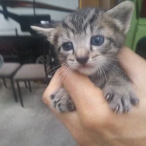 Meet your Posher, William